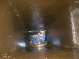 ������ϴ����